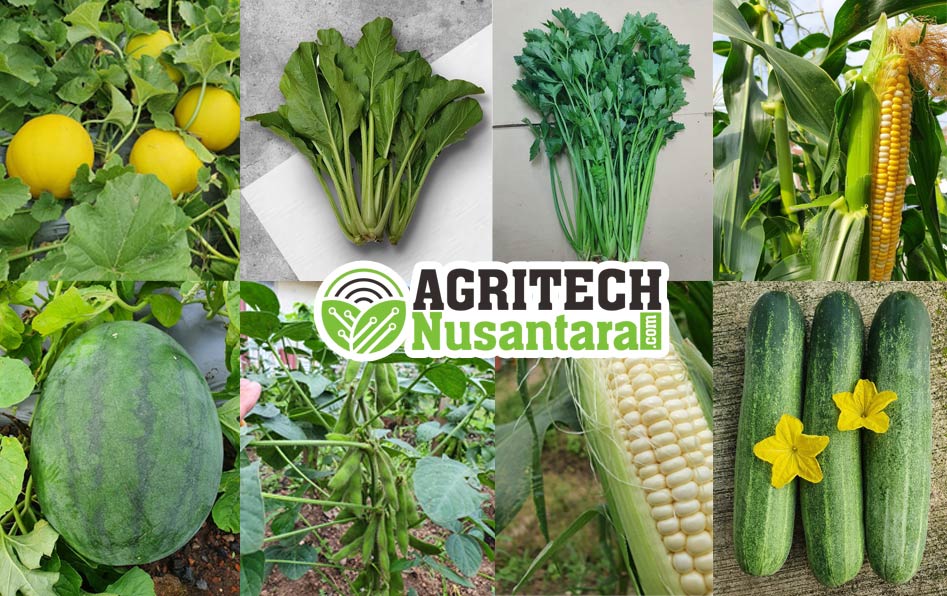 bibit ungul-agritech-nusantara