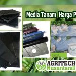 media-tanam